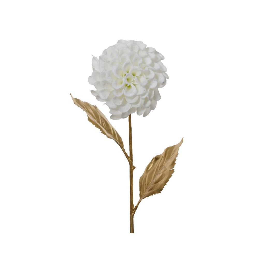 Dahlia enneigée